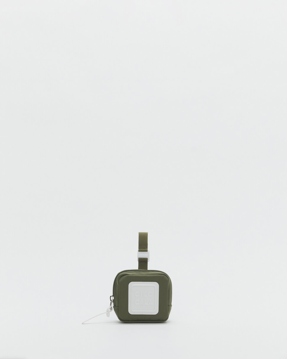 041_spinach_